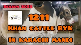 1211 Khan Cattle | Karachi Northern Bypass Mandi | Season 2023 | For Sale | All About Animals