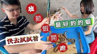 【宜蘭斑節蝦季開釣】釣就上癮 一小時破百隻 保證好玩 教你量水深綁線組#斑節蝦釣組#來來斑節蝦#宜蘭來來釣蝦場#宜蘭親子釣蝦#泰國蝦#金牌百威釣斑節蝦 #斑節蝦教學 #釣蝦教學#斑節蝦水深#蝦密蝦竿