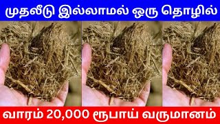 முதலீடு இல்லாமல் ஒரு தொழில் வாரம் 20,000ரூபாய் லாபம் | Small Business Ideas | Tamil