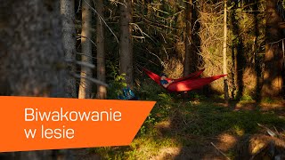 Biwakowanie ( biwak ) w lesie.  [8a.pl]