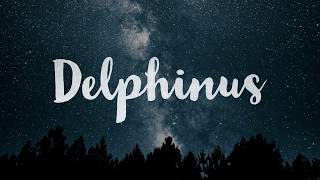 Delphinus Constellation