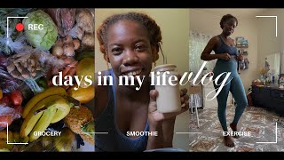 Couple Days In My Life Vlog