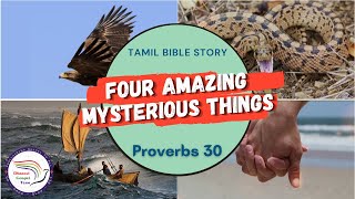 Four amazing mysterious things | நான்கு ஆச்சரியமான புத்திக்கெட்டாத விஷயங்கள் | Proverbs 30 | DGT