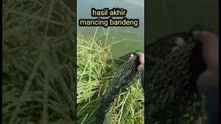 hasil akhir mancing ikan bandeng #fishing #mancingikan #shorts