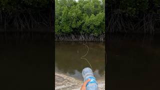 Water Bottle Catches Big Fish