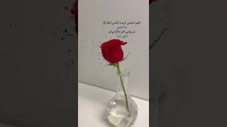 اللهم اعطني الرضا يا حي يا قيوم #حالات_واتس #حالات_واتساب #اكسبلور