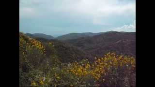 Sila National Park in Calabria, Italy