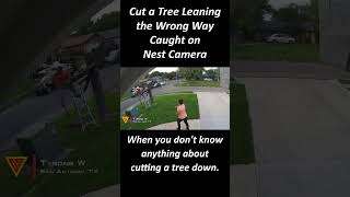 Cut a Tree Leaning the Wrong Way Caught on Nest Camera | Doorbell Camera Video