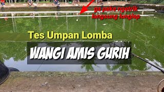 Umpan Putih Ikan Mas Amis Wangi Gurih || Ga pake ngetrik langsung lungleb