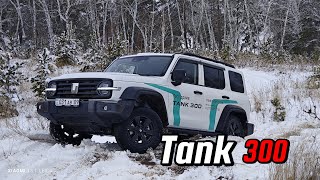 тест-драйв Tank 300