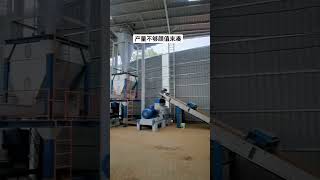 hammermill pellet mill #hammermill #powdermakingmachine#pelletmill