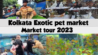 Kolkata pet market, Galiff st | Asia largest pet market| market tour | cheap pet | Exotic fish, bird