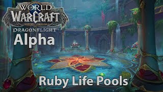 Dragonflight Alpha -  Ruby Life Pools Dungeon (full run)