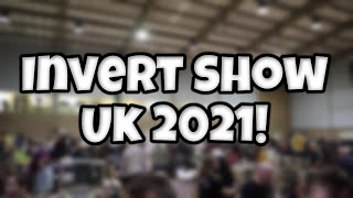 Southern Invert Show - Brighton, UK 2021!