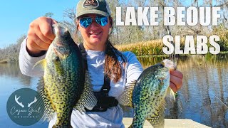 SWAMP CRAPPIE around Lake Beouf+TOPWATER ACTION