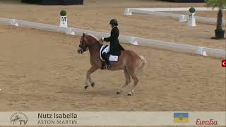 Nutz Isabella & Aston Martin (sired by Amethist) - Stadl-Paura - Sichtung Dressur - Prix St. George