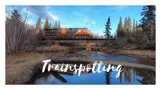 ASMR 🎧 train sounds in Brule, Alberta,Canada.