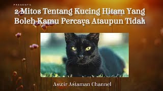 2 Mitos Tentang Kucing Hitam Yang Boleh Kamu Percaya Ataupun Tidak