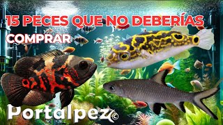 15 peces que no deberías comprar nunca a no ser que....