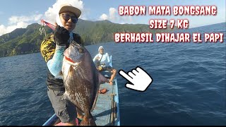 MANCING JIGGING IKAN MATA BONGSANG BABON SIZE 7 KG DI LAUT DALAM ENDE FLORES NTT