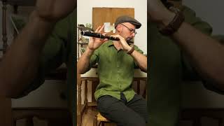 The sofa on irish flute #bestsolo  #irishflute #woodenflute #fluteirlandaise