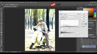 Photoshop CC 2016   Ôn tập  Levels