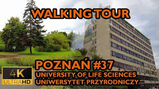 ⁴ᴷ⁶⁰ 🇵🇱 Poznan/Poland Walking Tour - #37 - University of Life Sciences (July 2021) [4K]