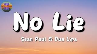 🎵 Sean Paul, Dua Lipa - No Lie || Sia, David Guetta, Harry Styles (Mix Lyrics)