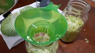 I tried to Make Sauerkraut!