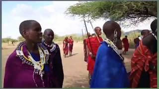 From Amboseli, Kenya to Lake Manyara, Tanzania, February 19, 2019