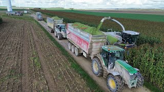 Ensilage XXL de Sorgho 🤩 // NOUVEAU FENDT 728 Joskin Drakkar neuf // + de 3000 chevaux réunis