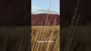 sunset at Uluru #shorts #uluru #nomadlife