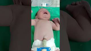 cute baby 4kgs baby #plz support me to keep me more videos #