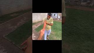 👆👆 monkey attack 😔ft shehr mein dihat video editing support public #funny #loin #comedyfilms #filr