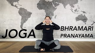 BRAHMARI PRANAYAMA - JOGA - uspokój nerwy, popraw jakość snu, obniż ciśnienie krwi