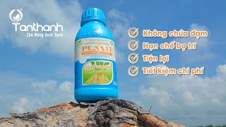 [CMCS] Vì sao nhà nông lại tâm đắc sản phẩm Plastimula 1SL như thế?