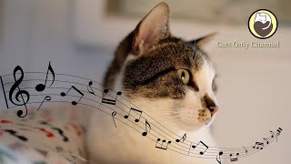 Cat Sleep Music - Piano Music for Sleep, Soft Water Sounds