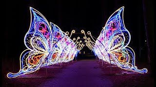 Garden of Lights in Riga