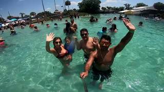 Weeki Wachee - 2019