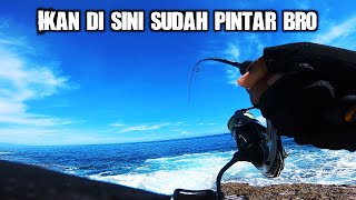 DI SAAT IKAN PINTAR MEMILIH KELAS TACKLE YANG AKAN DI SAMBAR, DI SITULAH SAYA MERASA HERAN