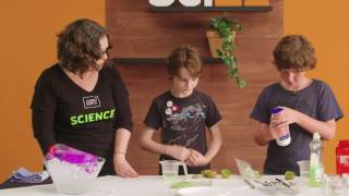 Science for 10 year olds by 10 year olds: Extracting DNA from Kiwifruit