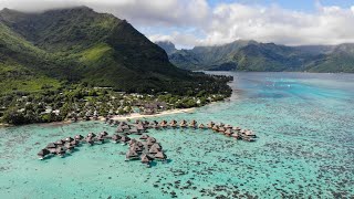 Hilton Moorea w/ DIAMOND STATUS! Upgrades, Food, & Drinks!