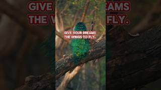 Give Your Dreams Wings | Motivation to Achieve Your Goal #deepquotes #motivation #dreambig #dream