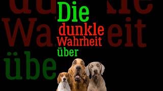 Die dunkle Wahrheit über Hunde