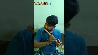 Naa hoke bhi kareeb tu hamesha paas tha||Flute version