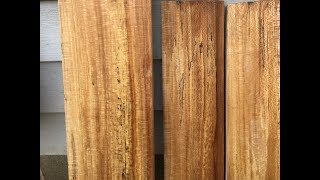 Spalted Sycamore cracked slabs video: Fixing them for use