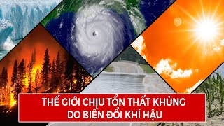 Thế Giới Chịu Tổn Thất Khủng Do Biến Đổi Khí Hậu