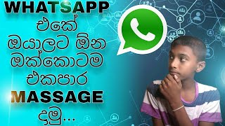 How to use whatsapp broadcast | එක පාර whatsapp එකෙන්  ඔක්කොටම massage දාමු.. | #whatsapp