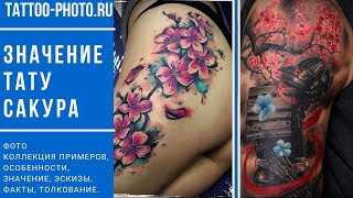 Значение тату Сакура - информация про особенности и фото примеры для сайта tattoo-photo.ru