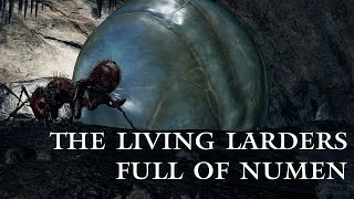 Unveiling secrets behind the Giant Ants - Elden Ring Lore